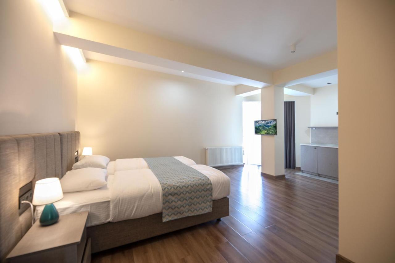 Hotel Takara Dedoplis Tskaro 部屋 写真